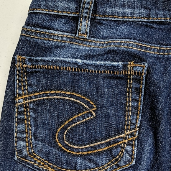 Women's Silver Jeans Aiko Skinny 31x31 @vintage - Picture 9 of 12